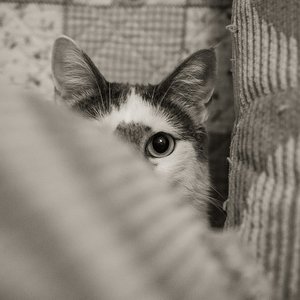 _DSC0152 - Kopie.JPG