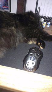 2014-08-08 21.50.10.jpg