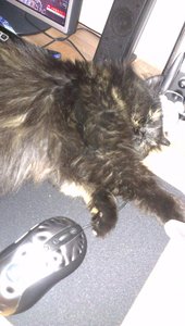 2014-08-08 21.50.22.jpg