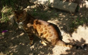 2014-04-22 20.47.03.jpg