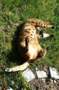 2014-04-22 20.52.33.jpg