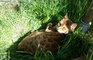 2014-04-22 20.55.39.jpg