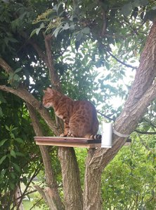 2014-06-18 23.12.16.jpg