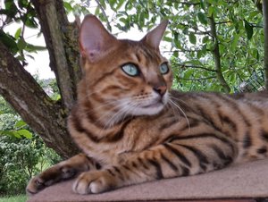 2014-07-17 10.12.04.jpg