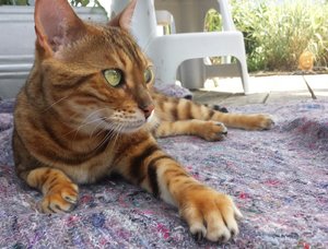 2014-07-17 15.50.43.jpg