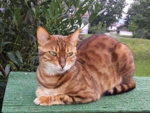 2014-07-21 20.12.09.jpg