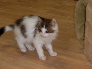 Kopie von Findus09.08.2014 016.jpg