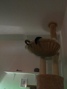 2014-08-09 21.24.07.jpg