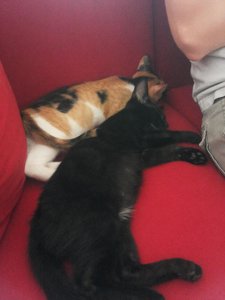 2014-08-05 17.49.24.jpg