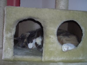 2010-05-08 22.47.50.jpg