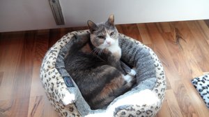 2011-10-05 17.04.31.jpg