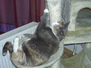 2009-01-31 00.09.38.jpg