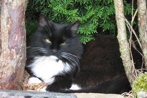 2011_07_07 IMG1332.jpg