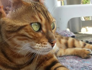 2014-07-17 15.53.37.jpg