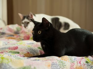 _DSC0137 - Kopie.JPG