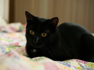 _DSC0139 - Kopie.JPG