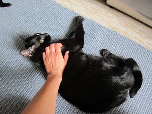 IMG_2251 - Kopie.JPG