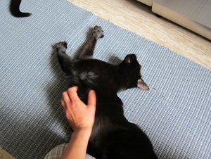 IMG_2252 - Kopie.JPG