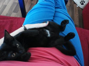 2014-08-19 18.15.31.jpg