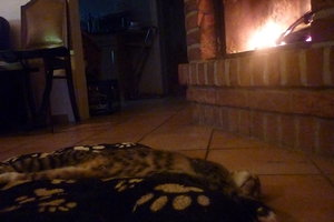 Linus Spezial 027.jpg