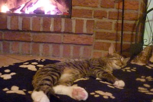 Linus Spezial 019.jpg