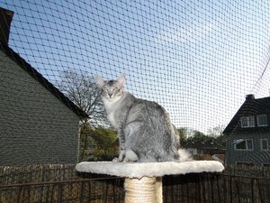 feivel auf dem balkon.jpg