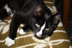 IMG_1366 [1600x1200].JPG