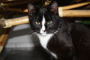 IMG_1383 [1600x1200].JPG