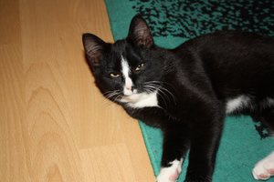 IMG_1387 [1600x1200].JPG