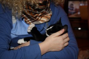 IMG_1388 [1600x1200].JPG