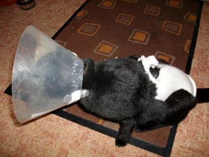 ab-17-09-2010 031.jpg