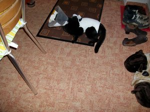 ab-17-09-2010 030.jpg