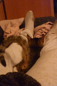 17.11.2010 entbömmelte Kater 009.jpg