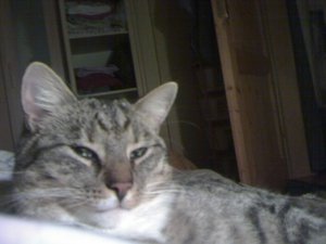 Bild 3 075 [800x600].jpg