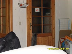 Bild 2 007 [800x600].jpg