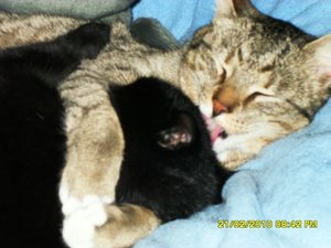 Bild 2 028 [800x600].jpg