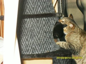 Bild 2 061 [800x600].jpg