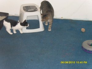 neue Mütze 2 003 [800x600].jpg