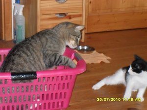 neue Mütze 2 060 [800x600].jpg