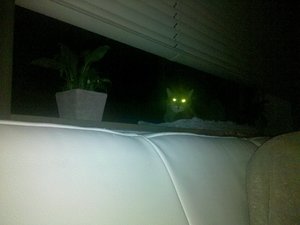 2010-02-06 23.20.19.jpg