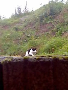 no name 003 [800x600].jpg