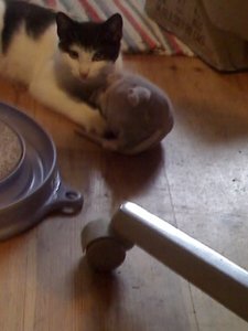 no name 024 [800x600].jpg