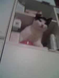 no name 028 [800x600].jpg