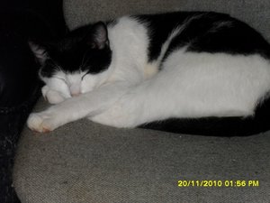 no name 043 [800x600].jpg