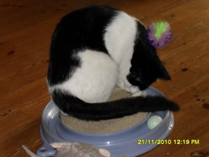 no name 049 [800x600].jpg