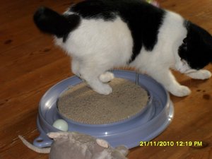 no name 050 [800x600].jpg