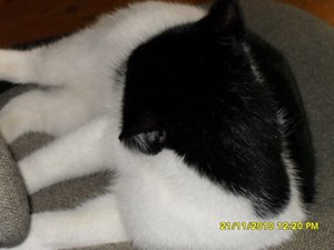 no name 051 [800x600].jpg