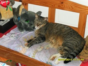 Jungs im Garten 002 [800x600].jpg