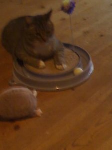 no name 016 [800x600].jpg