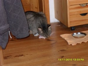 no name 039 [800x600].jpg